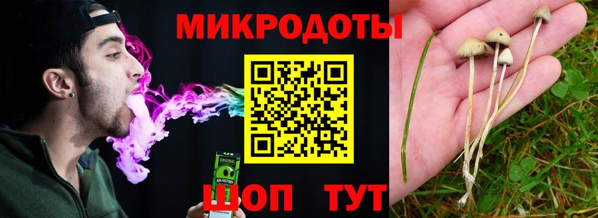 Новоалтайск  Галлюциногенные грибы Psilocybe  Вход с VPN 