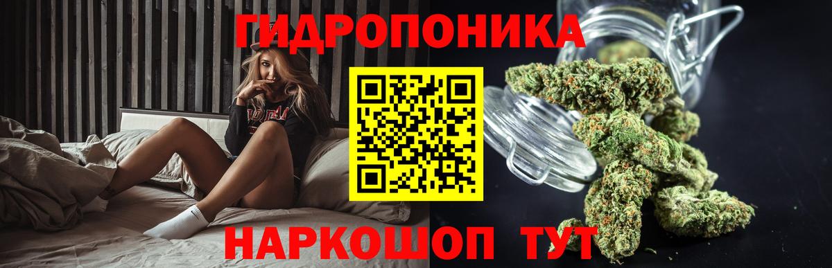 Канабис план  Вход с VPN  Шишки марихуана AK-47  Новоалтайск  Каннабис индика 